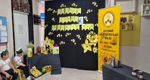 20 Mayıs Dünya Arı Günü